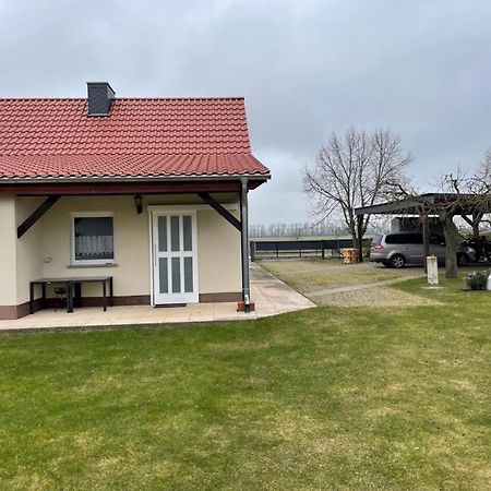 Ferienhaus Altenhof Mueritz מראה חיצוני תמונה